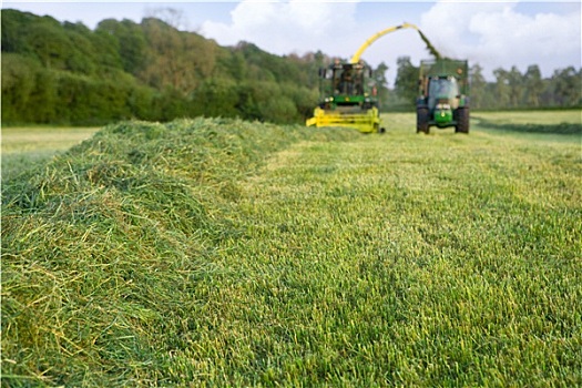 kết quả xổ số kiến thiết miền bắc ngày hôm nay