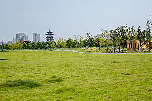 cau lo 88