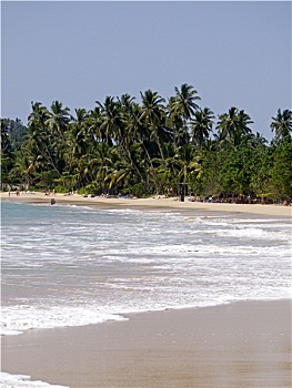 soi cau lo rong